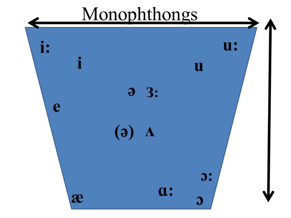 i i: u u: ə З: ʌ e æ ɑ: ɔ ɔ: (ə) Monophthongs